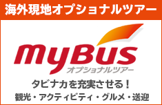 Mybus